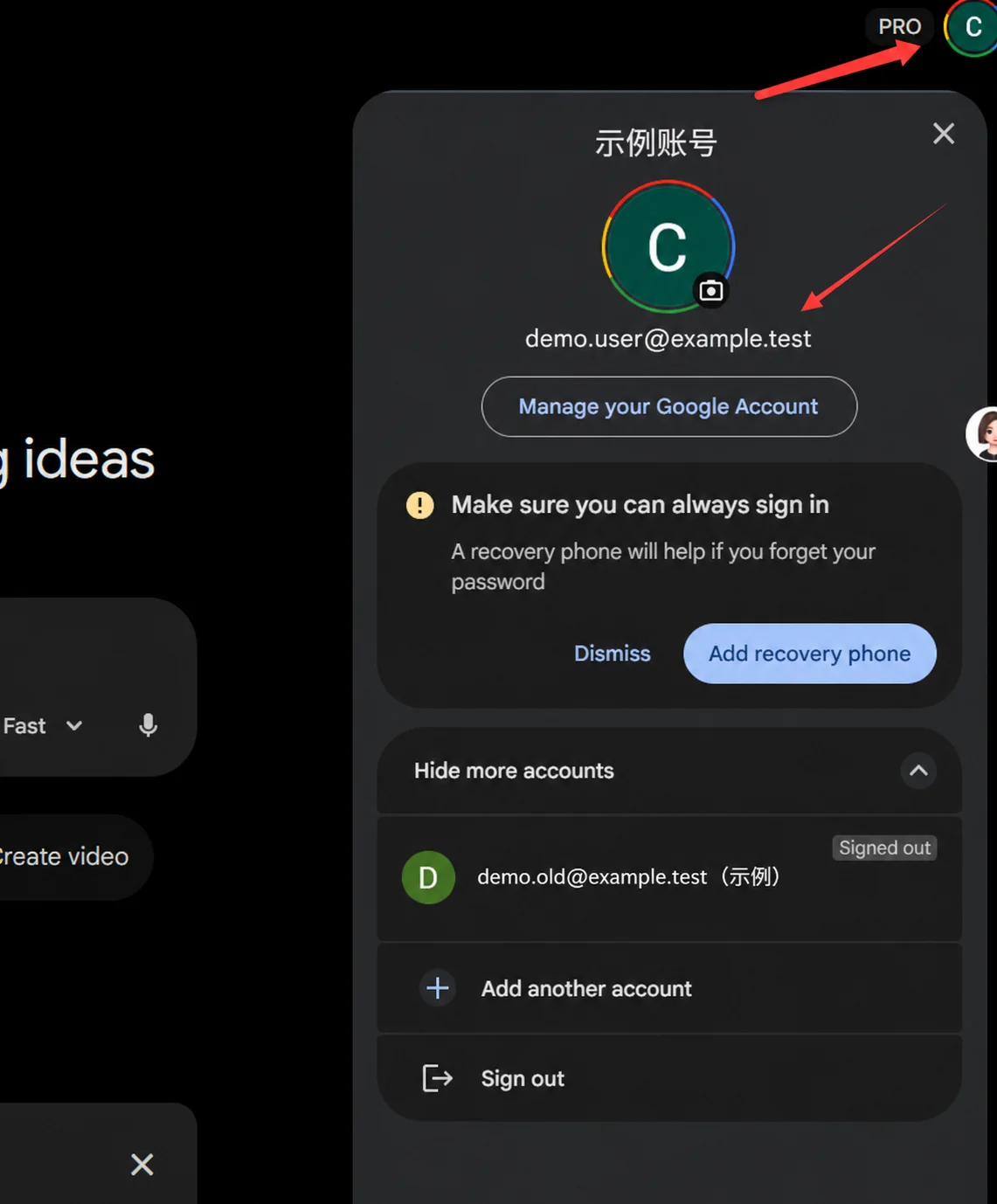 Gemini 右上角账号菜单与 Pro 标识，账号为虚构示例